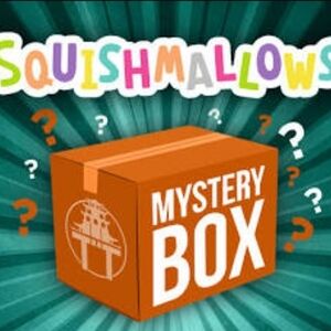 Squishmallows Mystery Box, Last Box